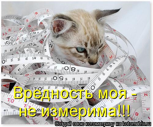 Котоматрица: Вредность моя - не измерима!!!