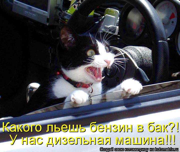 Котоматрица: Какого льешь бензин в бак?! У нас дизельная машина!!!