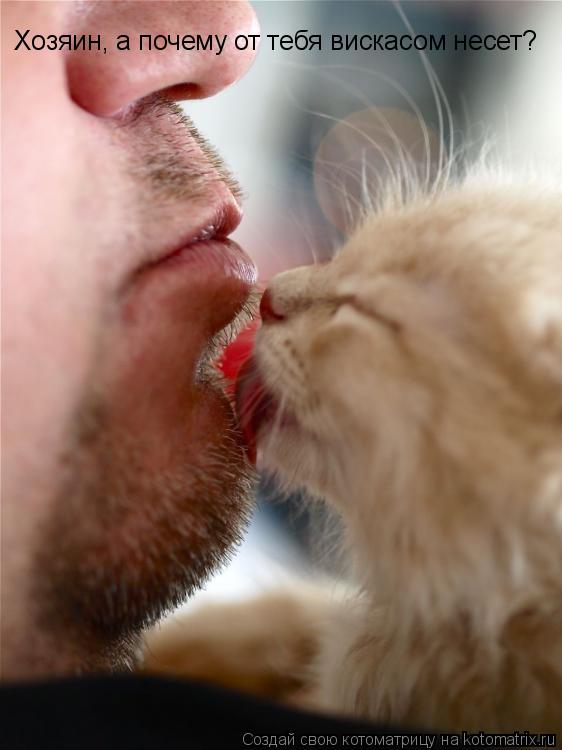 Котоматрица: Хозяин, а почему от тебя вискасом несет?