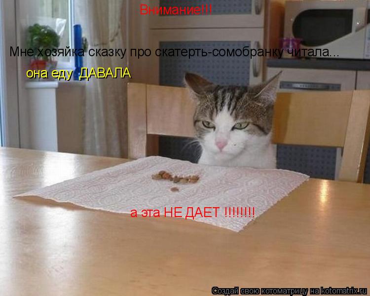Котоматрица: Внимание!!! Мне хозяйка сказку про скатерть-сомобранку читала... она еду  ДАВАЛА а эта НЕ ДАЕТ !!!!!!!!