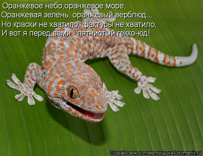 Котоматрица: Оранжевое небо,оранжевое море, Оранжевая зелень, оранжевый верблюд... Но краски не хватило, фактуры не хватило, И вот я перед вами - пятнистый