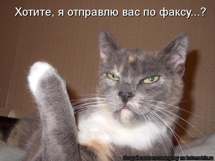 Котоматрица: Хотите, я отправлю вас по факсу...?