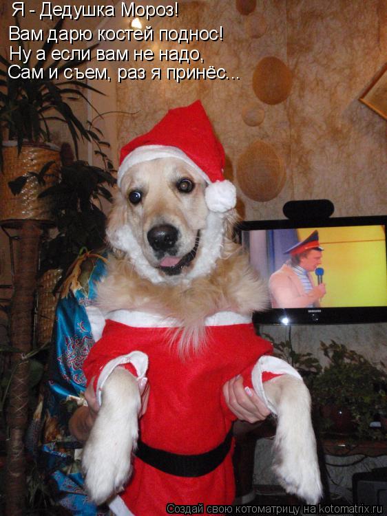 Котоматрица: Я - Дедушка Мороз! Вам дарю костей поднос! Ну а если вам не надо, Сам и съем, раз я принёс...