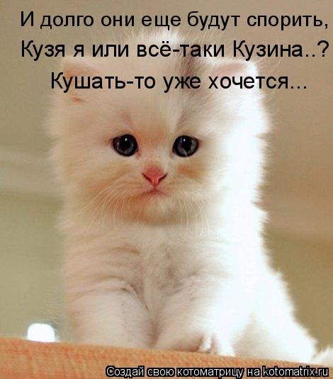 Котоматрица: И долго они еще будут спорить, Кузя я или всё-таки Кузина..? Кушать-то уже хочется...