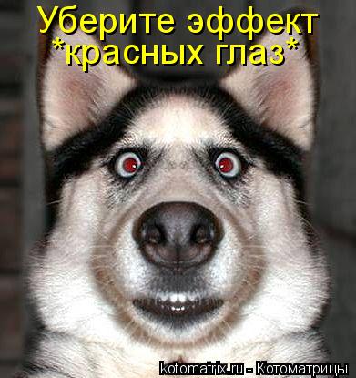 Котоматрица: Уберите эффект *красных глаз*