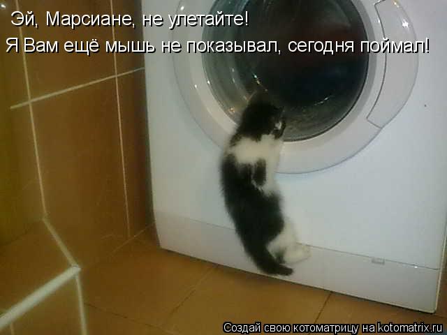 Котоматрица: Эй, Марсиане, не улетайте! Я Вам ещё мышь не показывал, сегодня поймал!