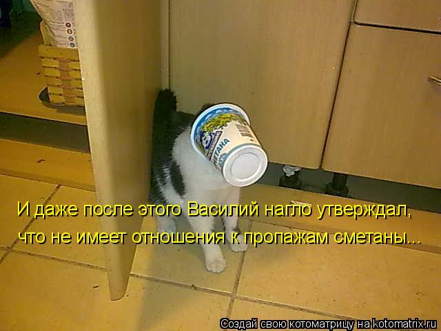 Котоматрица: И даже после этого Василий нагло утверждал, что не имеет отношения к пропажам сметаны...