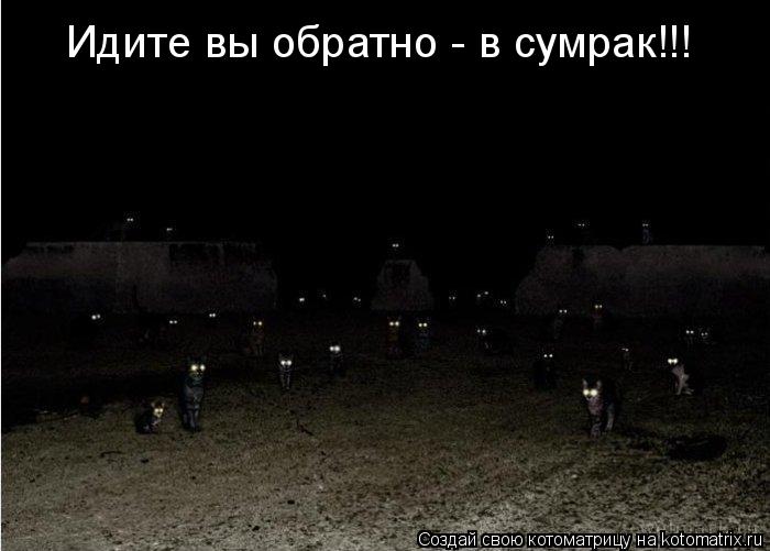 Котоматрица: Идите вы обратно - в сумрак!!!