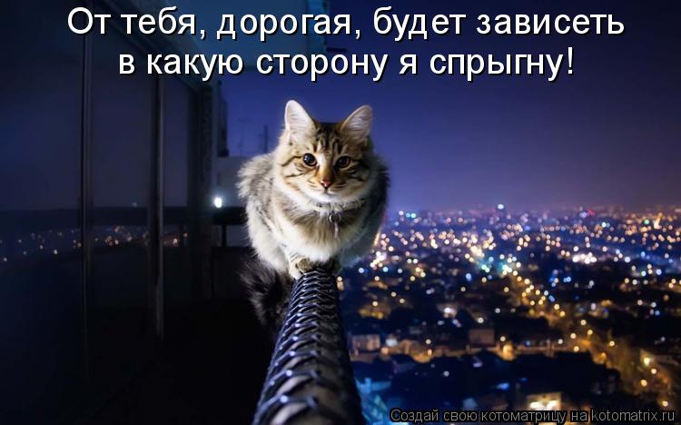 Котоматрица: От тебя, дорогая, будет зависеть в какую сторону я спрыгну!
