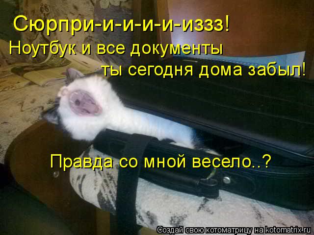 Котоматрица: Сюрпри-и-и-и-и-иззз! Ноутбук и все документы ты сегодня дома забыл! Правда со мной весело..?