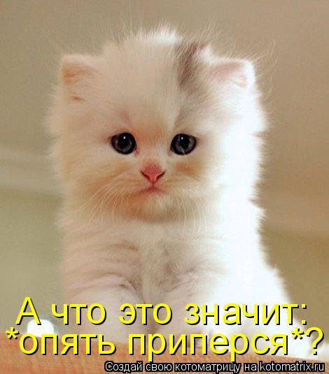Котоматрица: *опять приперся*? А что это значит: