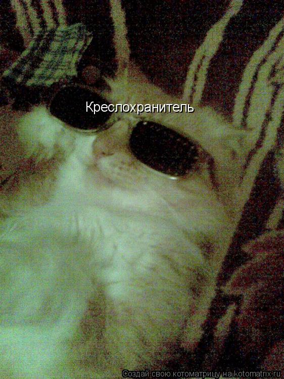 Котоматрица: Креслохранитель