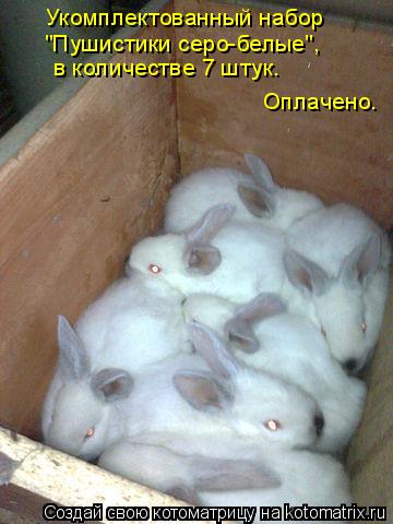 Котоматрица: Укомплектованный набор в количестве 7 штук. Оплачено. "Пушистики серо-белые",