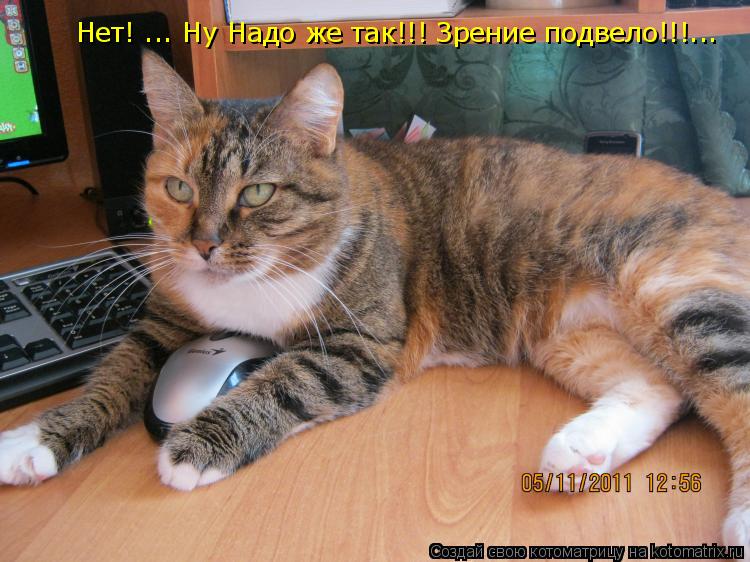 Котоматрица: Нет! ... Ну Надо же так!!! Зрение подвело!!!...