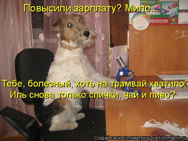 Котоматрица: Повысили зарплату? Мило... Тебе, болезный, хоть на трамвай хватило? Иль снова только спички, чай и пиво?