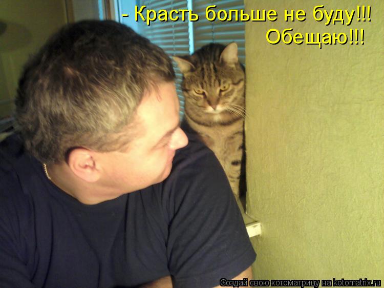 Котоматрица: - Красть больше не буду!!! Обещаю!!!
