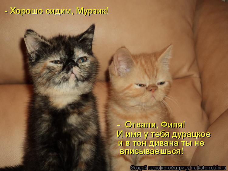Котоматрица: - Хорошо сидим, Мурзик! -  Отвали, Филя! И имя у тебя дурацкое и в тон дивана ты не  вписываешься!