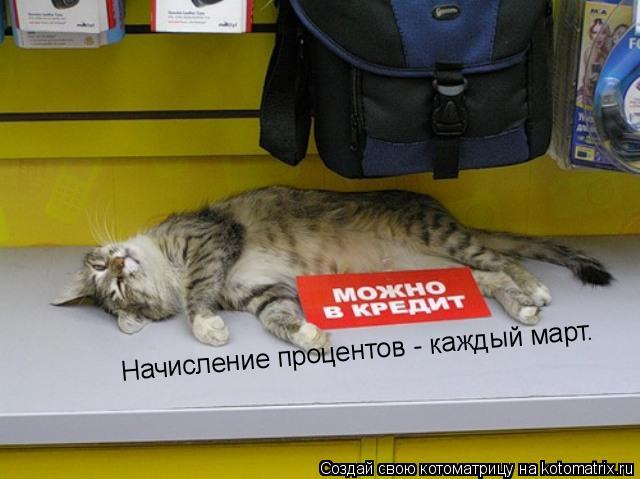 Котоматрица: Начисление процентов - каждый март.