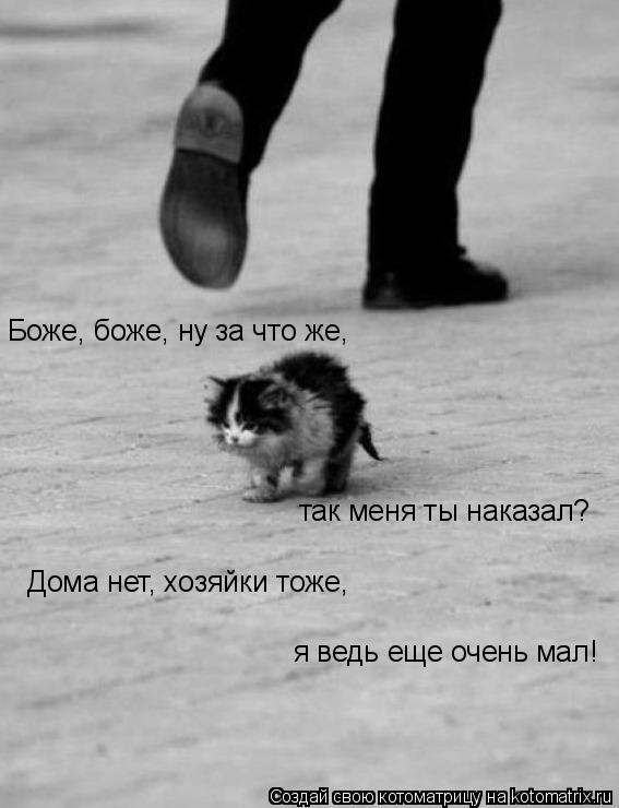 Котоматрица: Боже, боже, ну за что же,  так меня ты наказал? Дома нет, хозяйки тоже, я ведь еще очень мал!