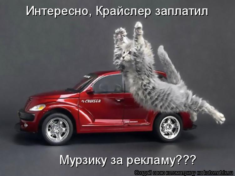 Котоматрица: Интересно, Крайслер заплатил  Мурзику за рекламу???