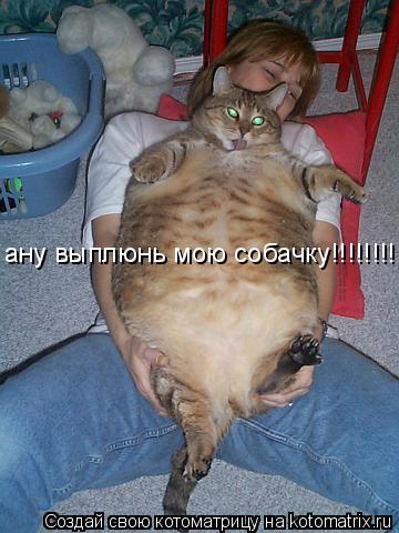 Котоматрица: ану выплюнь мою собачку!!!!!!!!