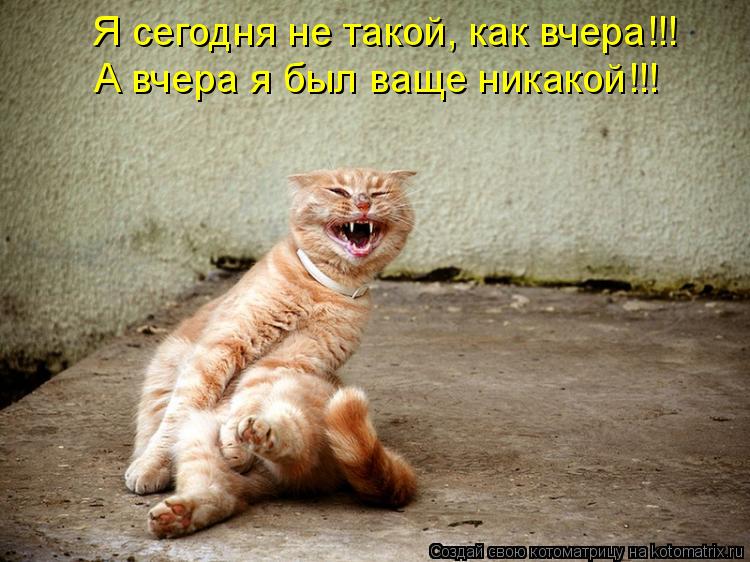 Котоматрица: Я сегодня не такой, как вчера!!! А вчера я был ваще никакой!!!