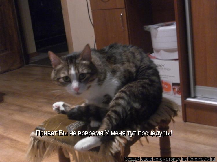 Котоматрица: Привет!Вы не вовремя!У меня тут процедуры!