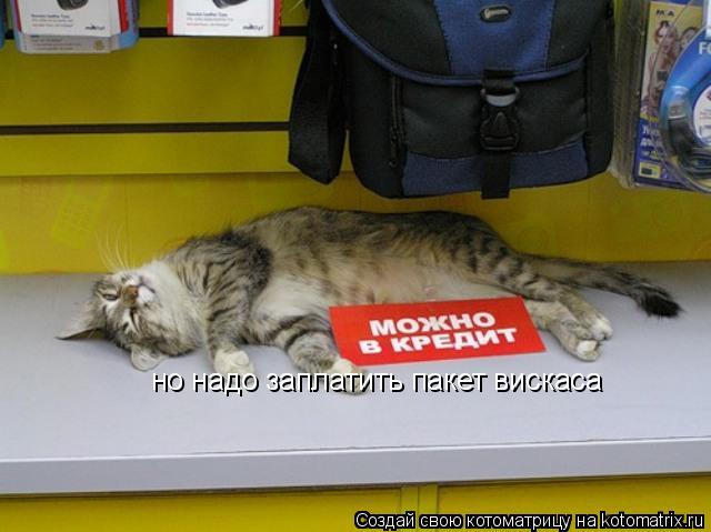 Котоматрица: но надо заплатить пакет вискаса