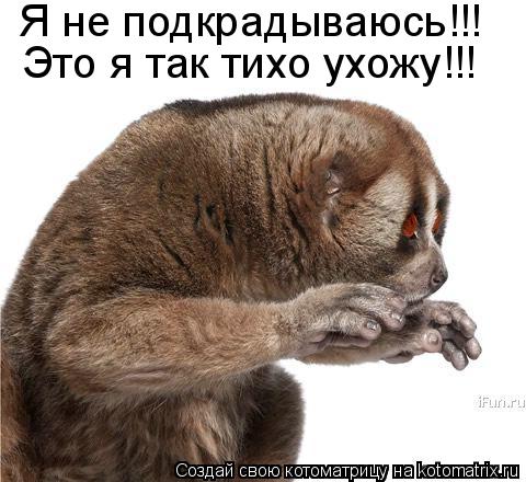 Котоматрица: Я не подкрадываюсь!!!  Это я так тихо ухожу!!!