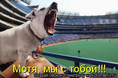 Котоматрица: Мотя, мы с тобой!!!