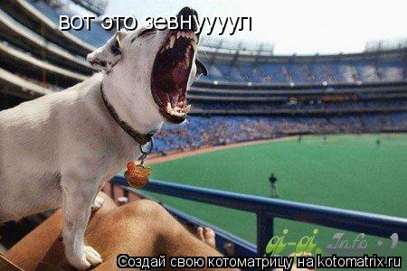 Котоматрица: вот это зевнуууул