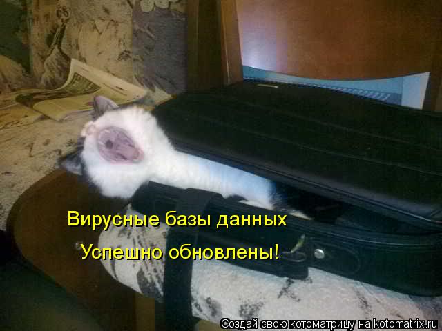 Котоматрица: Вирусные базы данных  Успешно обновлены!