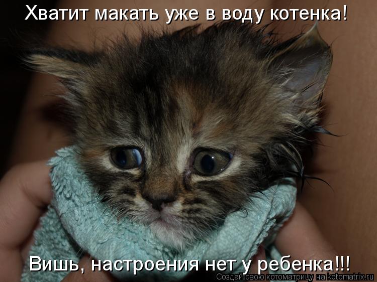 Котоматрица: Хватит макать уже в воду котенка! Вишь, настроения нет у ребенка!!!