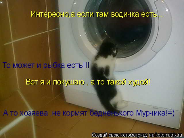 Котоматрица: Интересно,а если там водичка есть.. Интересно,а если там водичка есть... То может и рыбка есть!!! Вот я и покушаю , а то такой худой! А то хозяева 