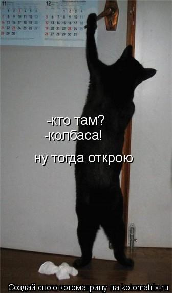 Котоматрица: -кто там? -кто там? -колбаса! -колбаса! ну тогда открою