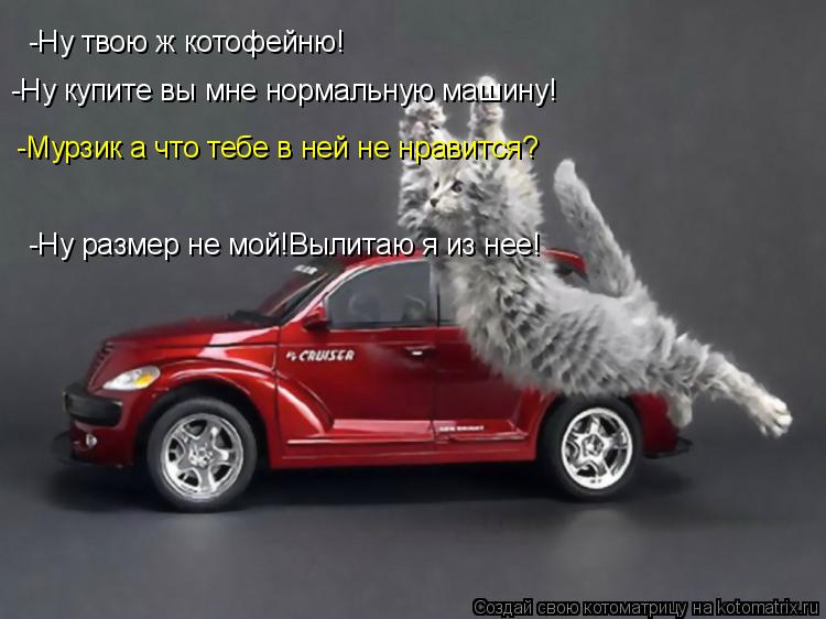 Котоматрица: -Ну твою ж котофейню! -Ну купите вы мне нормальную машину! -Мурзик а что тебе в ней не нравится? -Ну размер не мой!Вылитаю я из нее!