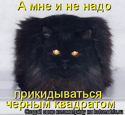 Котоматрица: черным квадратом прикидываться А мне и не надо