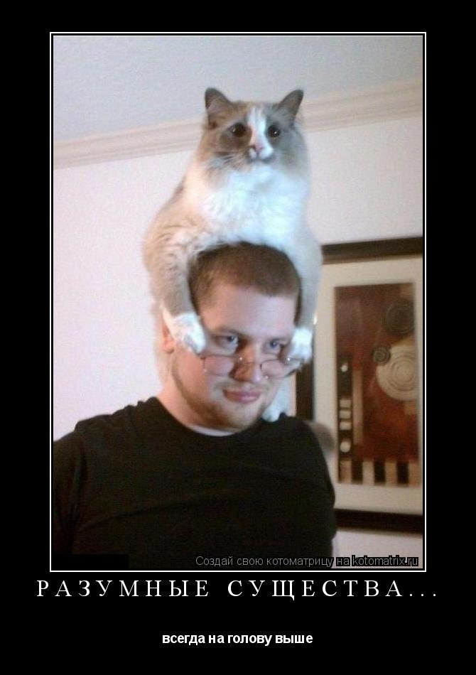 Котоматрица: Разумные существа... всегда на голову выше