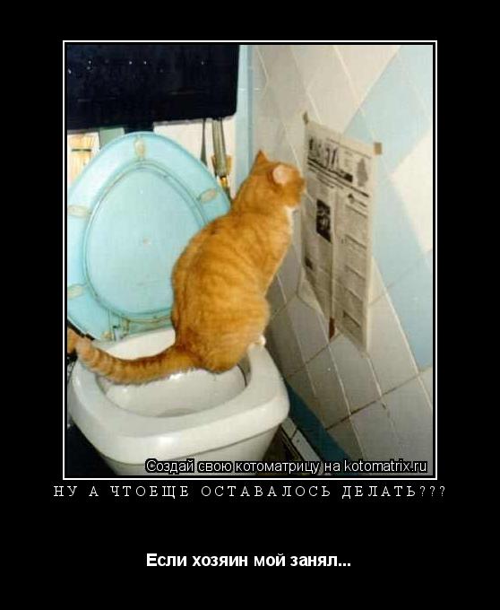 Котоматрица: ну а чтоещё оставалось делать??? Если хозяин мой занял...