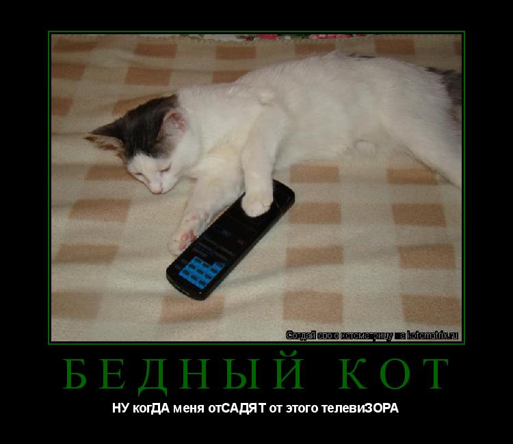 Котоматрица: бедный кот НУ когДА меня отСАДЯТ от этого телевиЗОРА