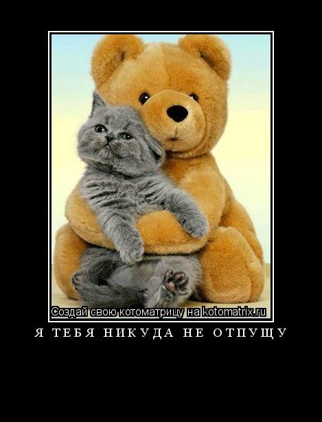 я тебя никуда не отпущу ... Котоматрица: я тебя никуда не отпущу