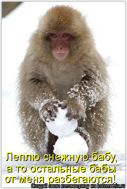 Котоматрица: Леплю снежную бабу, а то остальные бабы от меня разбегаются!