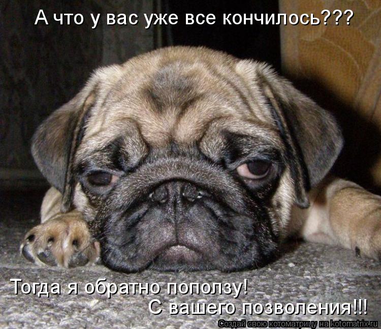 Котоматрица: А что у вас уже все кончилось??? Тогда я обратно поползу!  С вашего позволения!!!