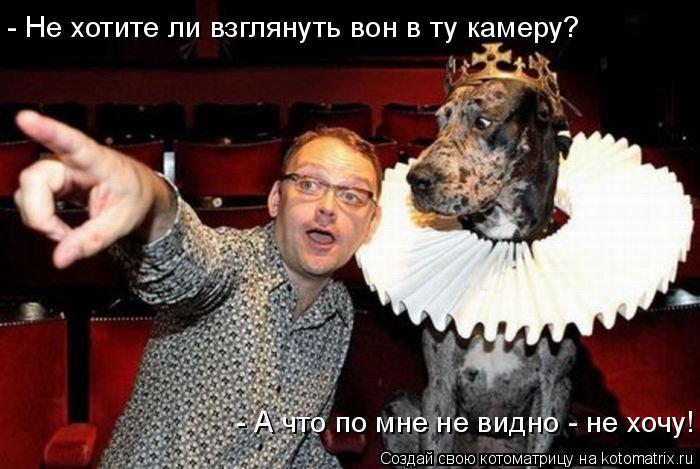 Котоматрица: - А что по мне не видно - не хочу! - Не хотите ли взглянуть вон в ту камеру?
