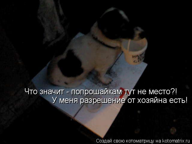 Котоматрица: Что значит - попрошайкам тут не место?! У меня разрешение от хозяйна есть!