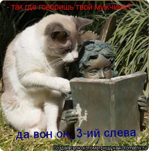 Котоматрица: - да вон он, 3-ий слева - так где говоришь твой мужчина?