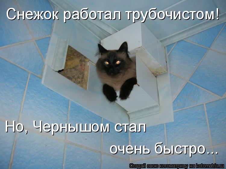Снежок работал трубочистом! Но, Чернышом стал очень быстро...... Котоматрица: Снежок работал трубочистом! Но, Чернышом стал очень быстро...