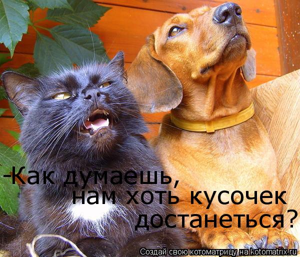 Котоматрица: Как думаешь, нам хоть кусочек  достанеться? -