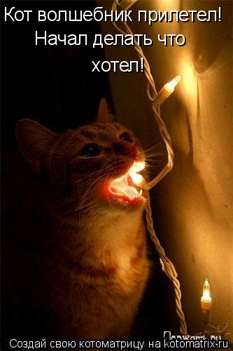 Котоматрица: Кот волшебник прилетел! Начал делать что  хотел!