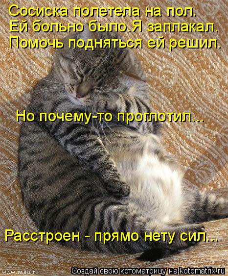 Котоматрица: Сосиска полетела на пол. Ей больно было.Я заплакал.  Помочь подняться ей решил. Но почему-то проглотил... Расстроен - прямо нету сил...